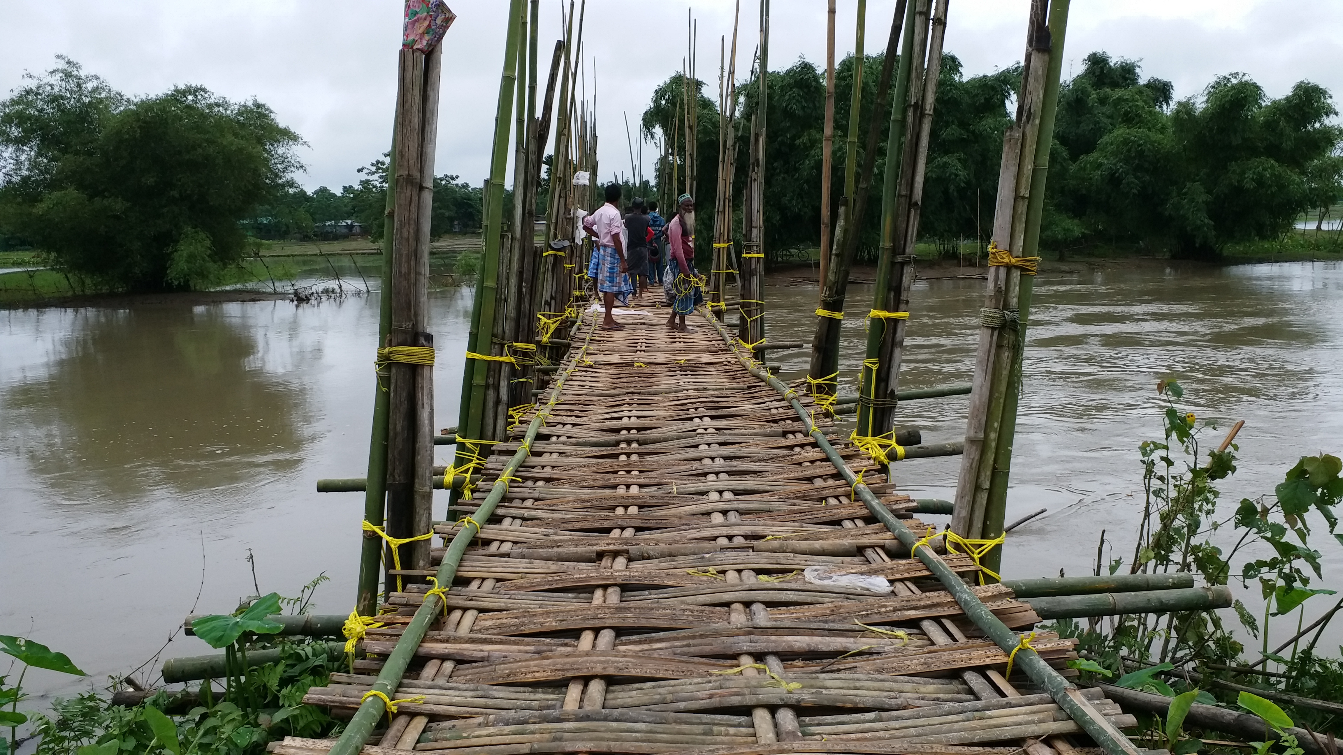 Dhubri Muamari bamboo bridge