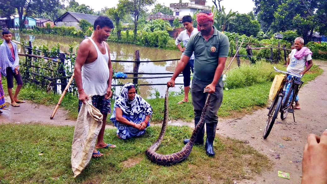 Valmiki Tiger Reserve