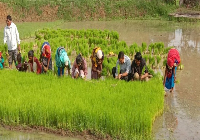 Officers worked with farmers