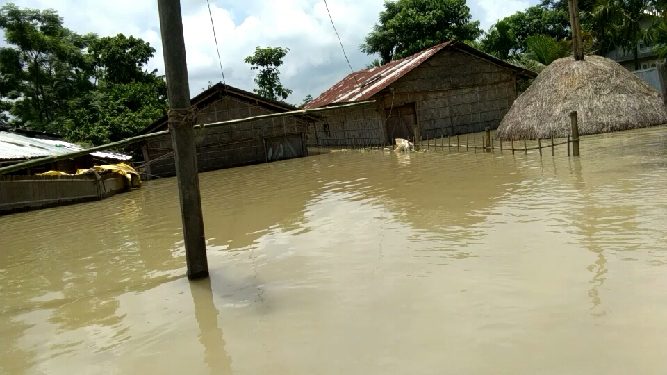 Flood situation of kaliabar assam etv bharat news