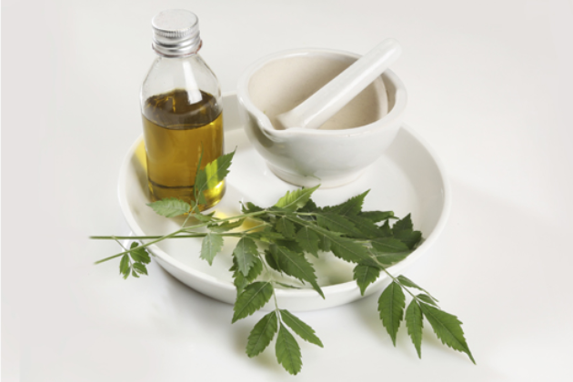 try-ancient-dandruff-treatment-with-neem-leaves-at-home-in-indian-ayurvedic-style