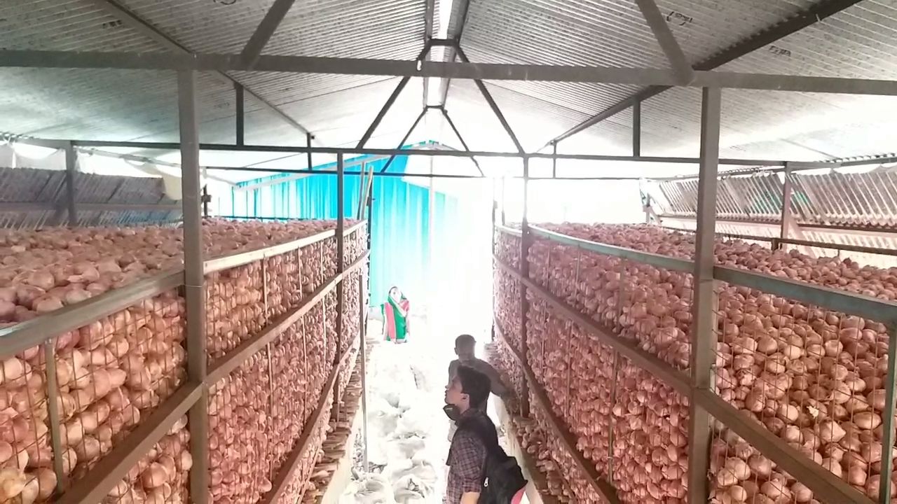 Onion Storage Technology