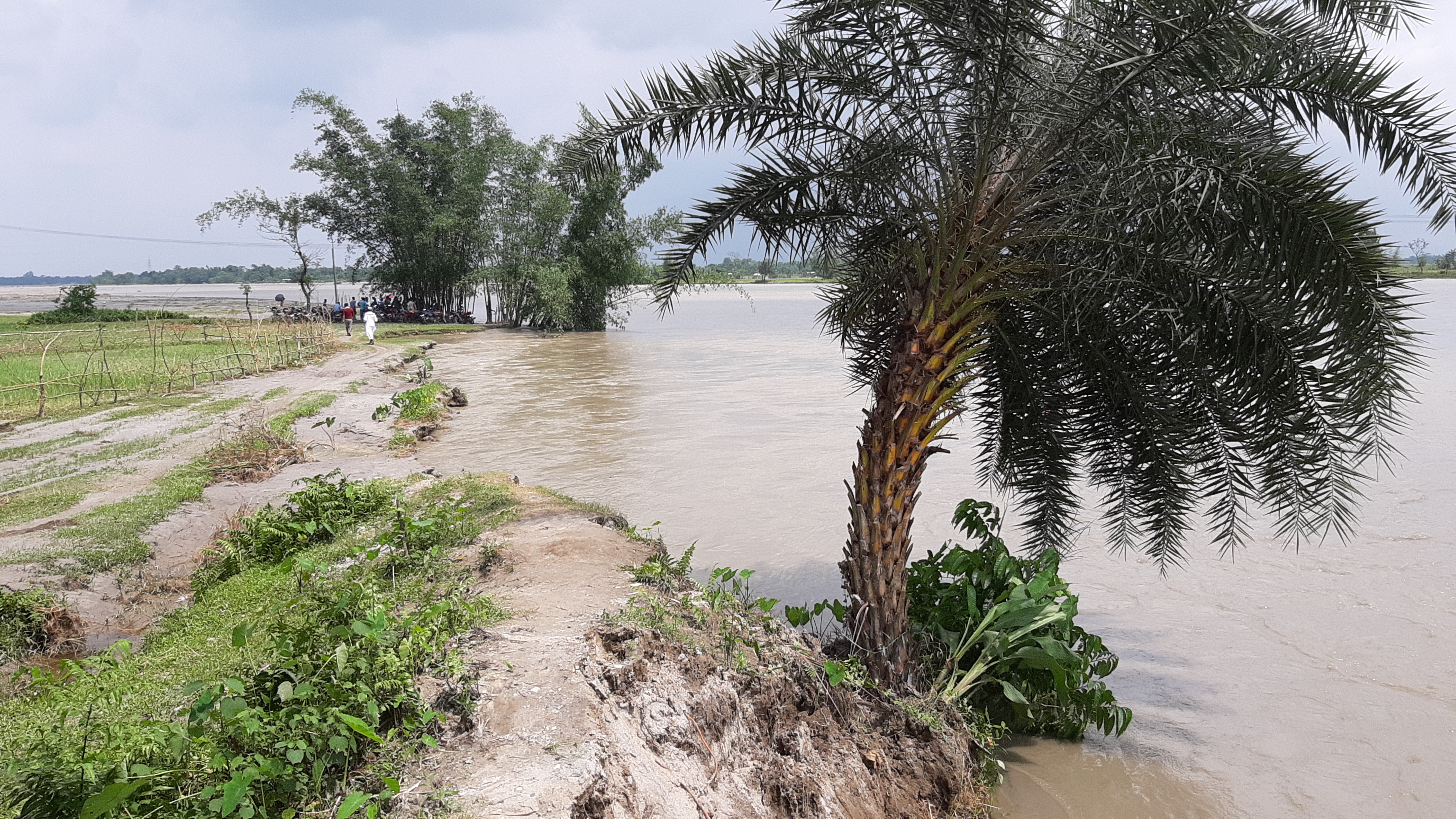 9 more people die in flood-related incidents in Assam, toll rises to 85