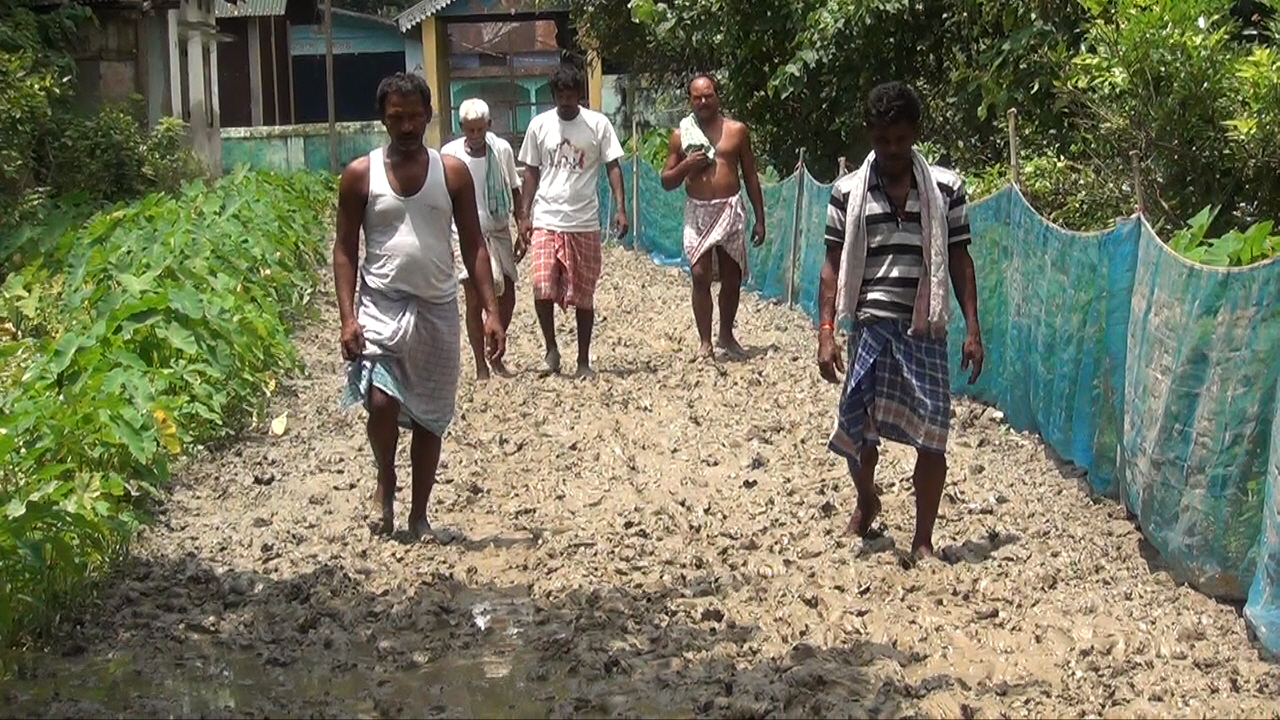 Poor condition of a road near sundaridiya satra barpeta assam etv bharat news