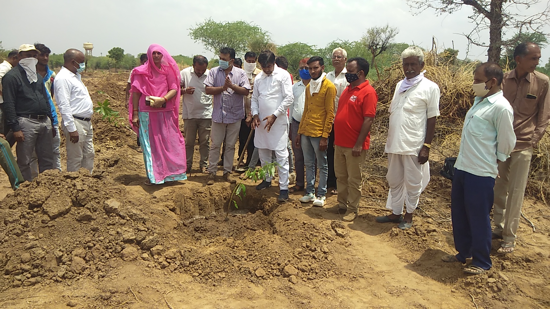 पौधरोपण कार्यक्रम का आयोजन, Plantation Program organized