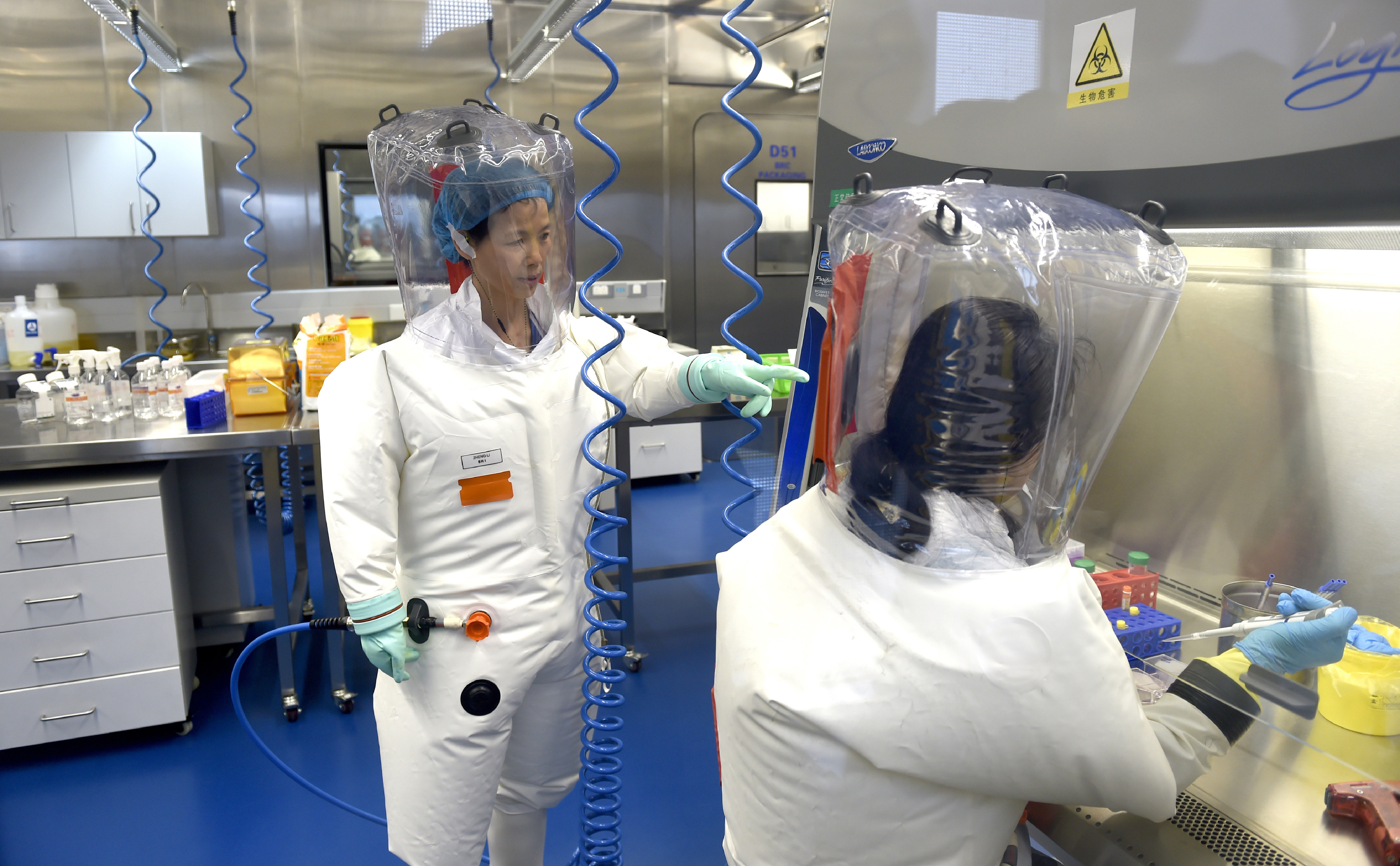 Researchers working in a lab at the Wuhan Institute of Virology in Wuhan in central China's Hubei province. (File photo)