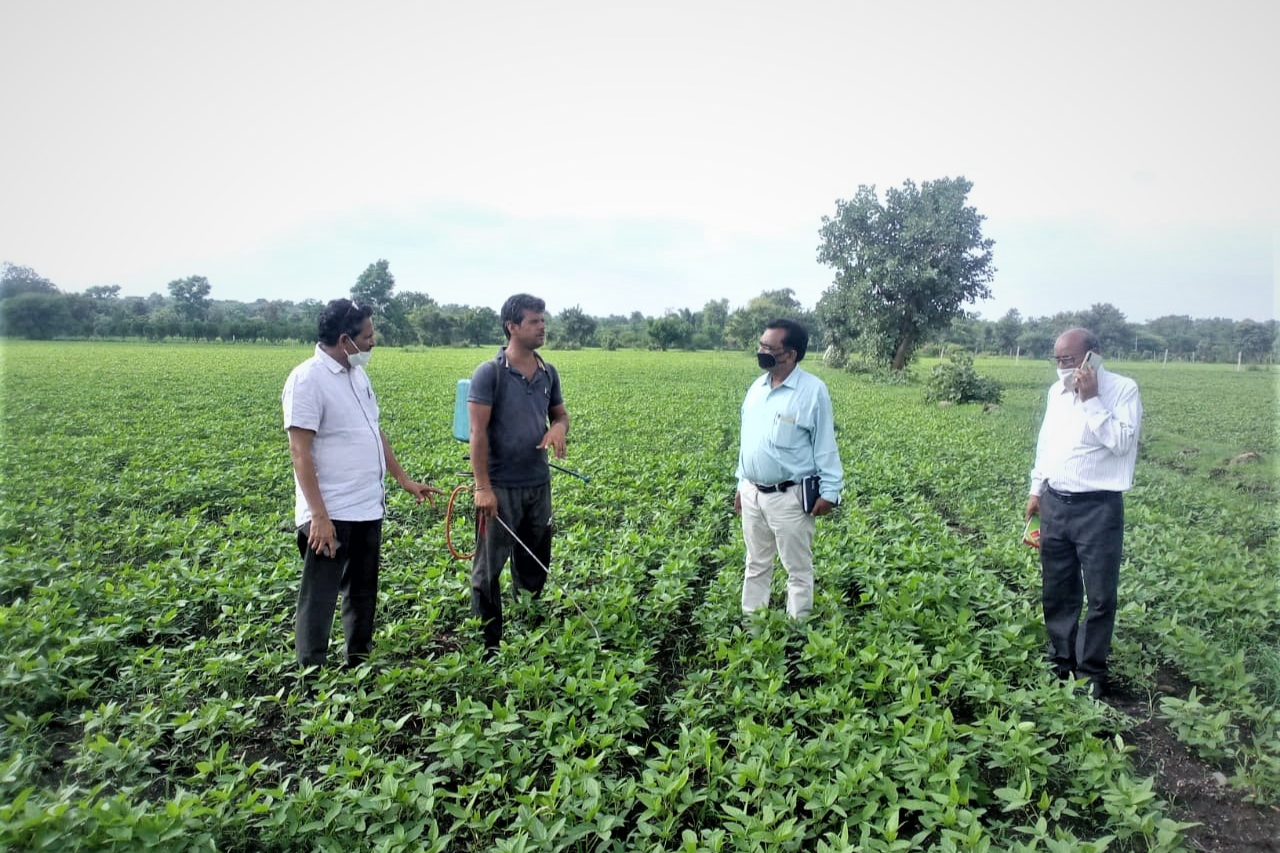 Agriculture Department officials reached the fields and inspected the crop