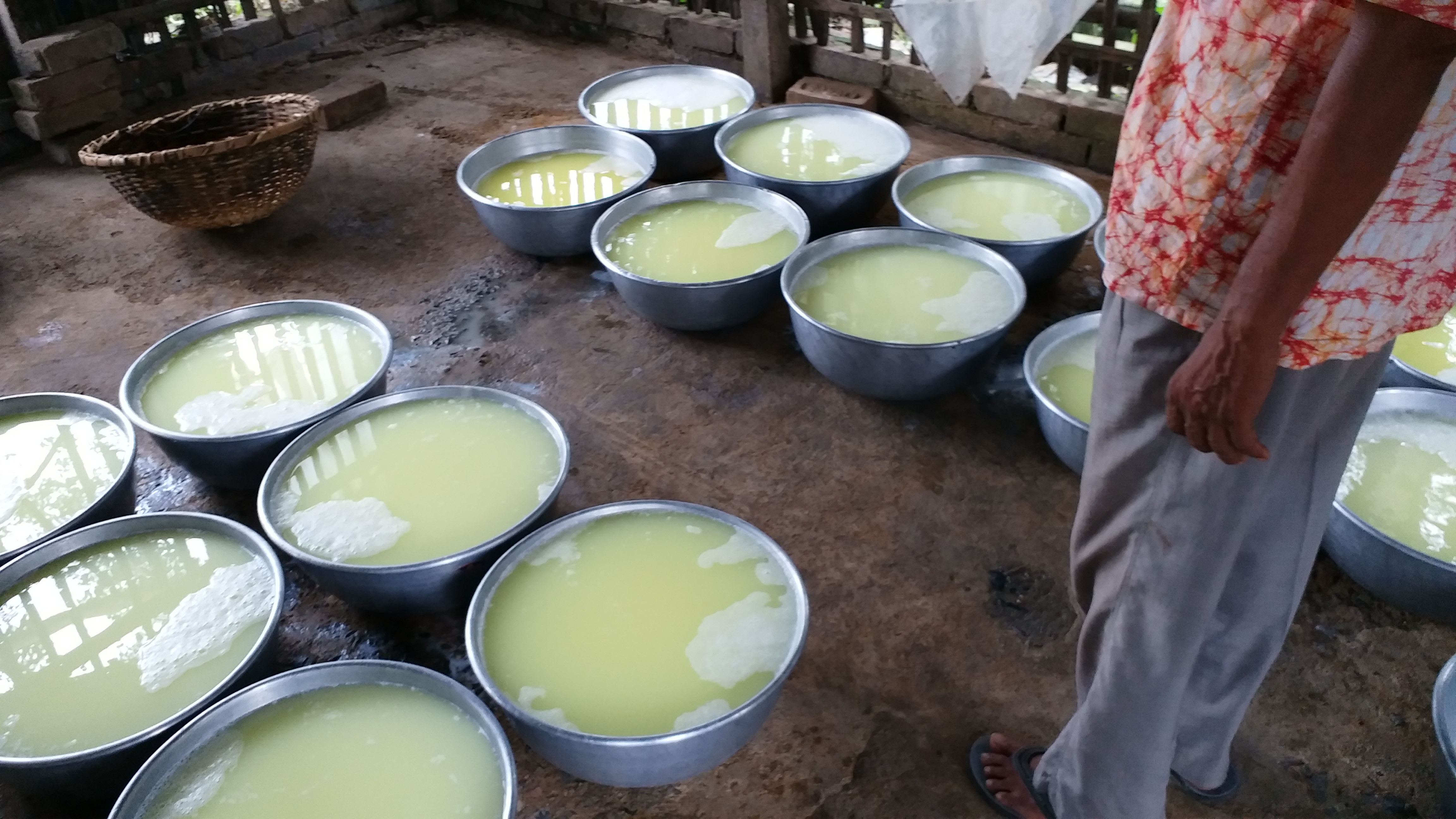 Ghee business in Nadia