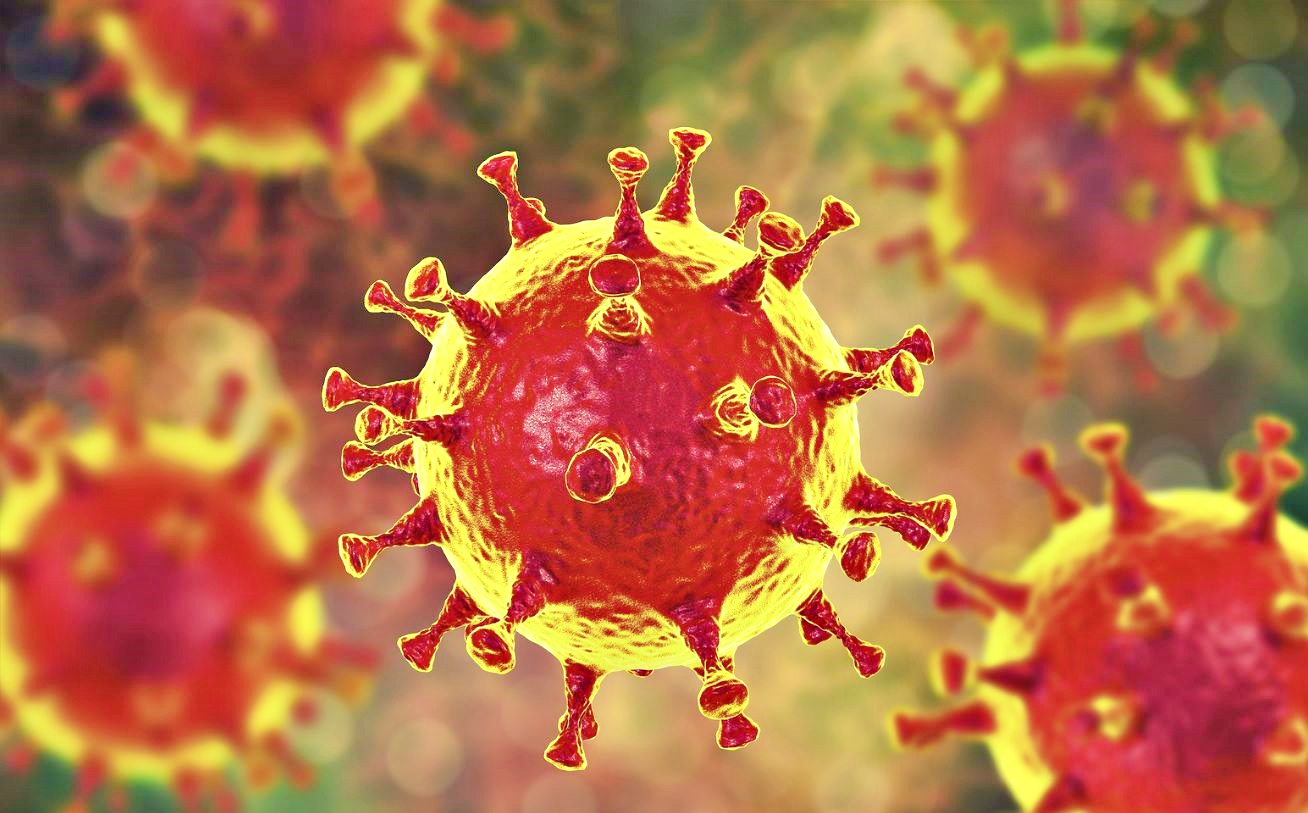 Corona virus