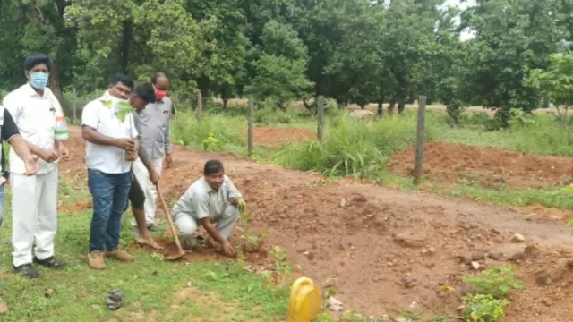 students teacher principal planted plants