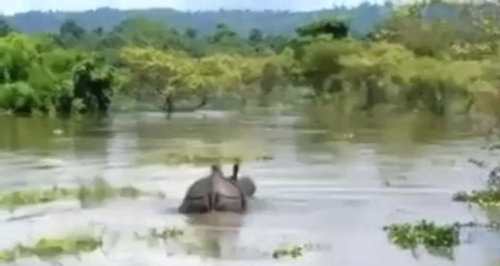 assam flood visual