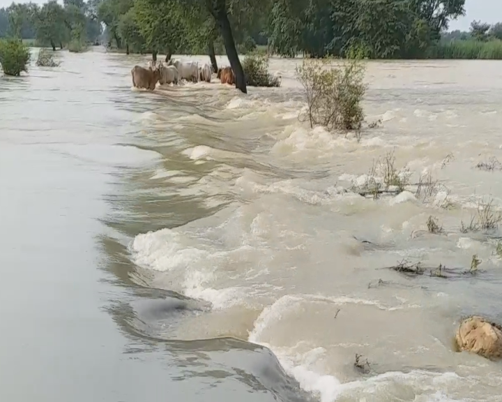 flood in balrampur