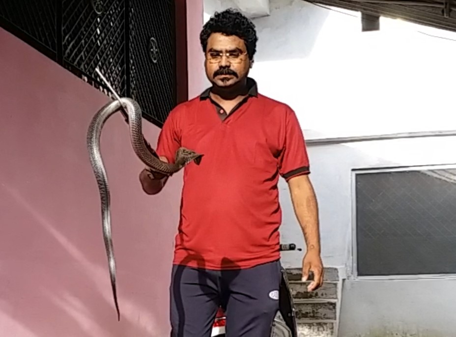 snake expert bhaksar barve