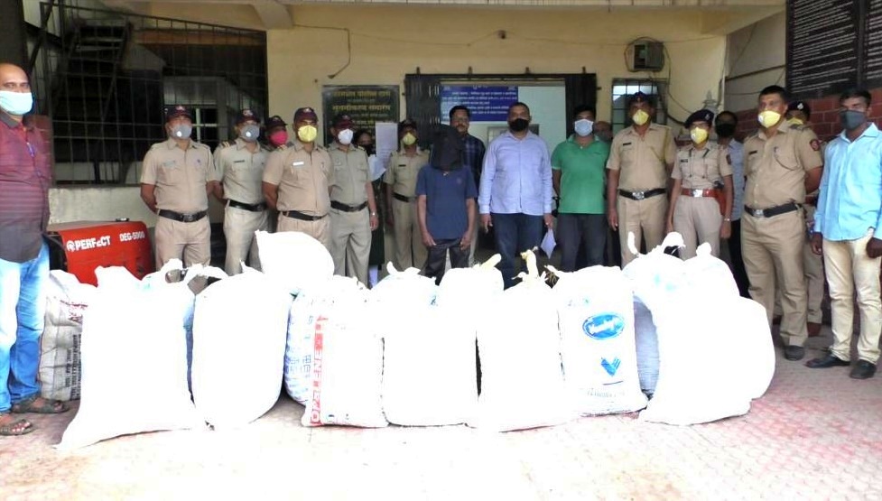 cannabis seized in kamshet pune district