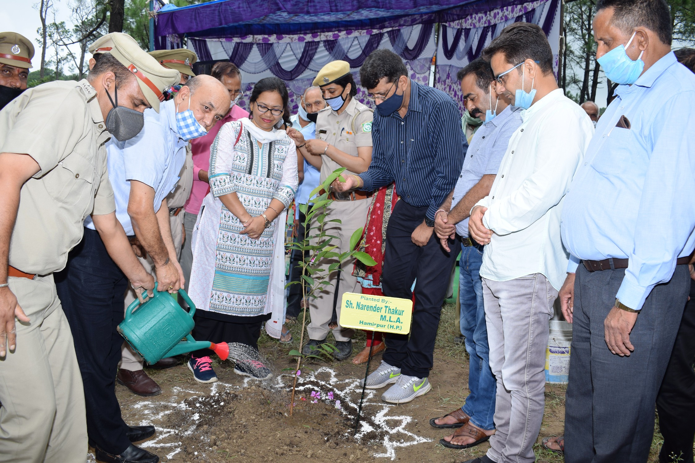 plantation in Samluhi village