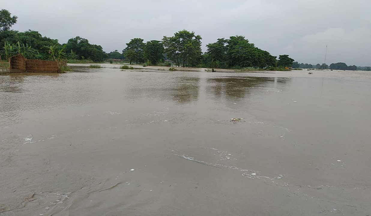 flood in bihar