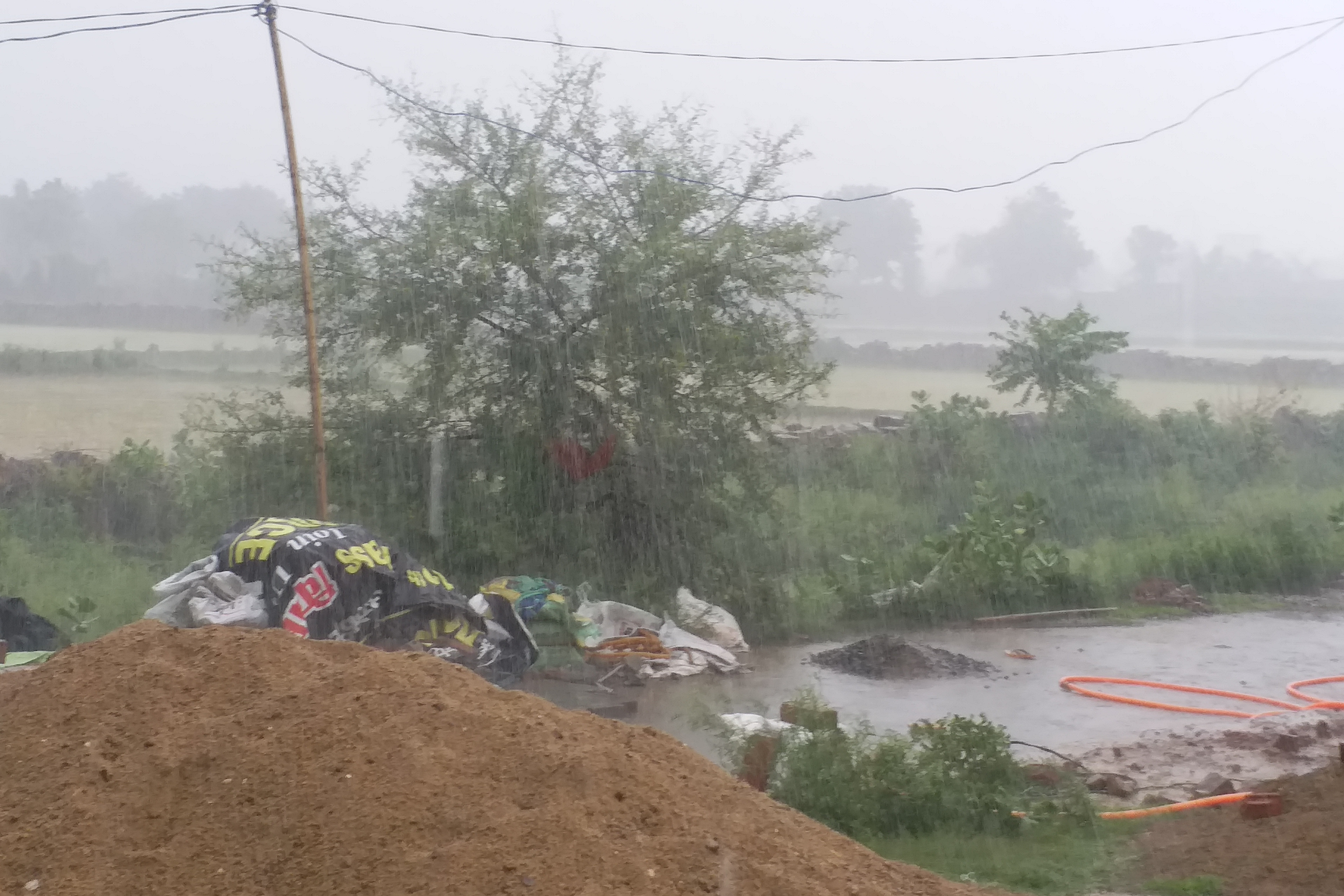 rain-changes-weather-in-sheopur