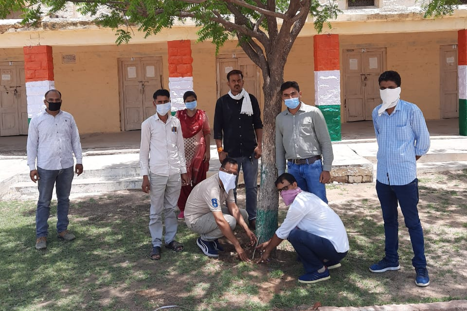 Bhopalgarh news, tree planting, school