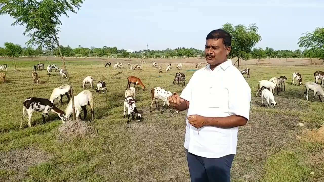 Ex MLA markandeyan self reliance agriculture