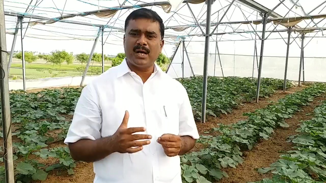 Ex MLA markandeyan self reliance agriculture