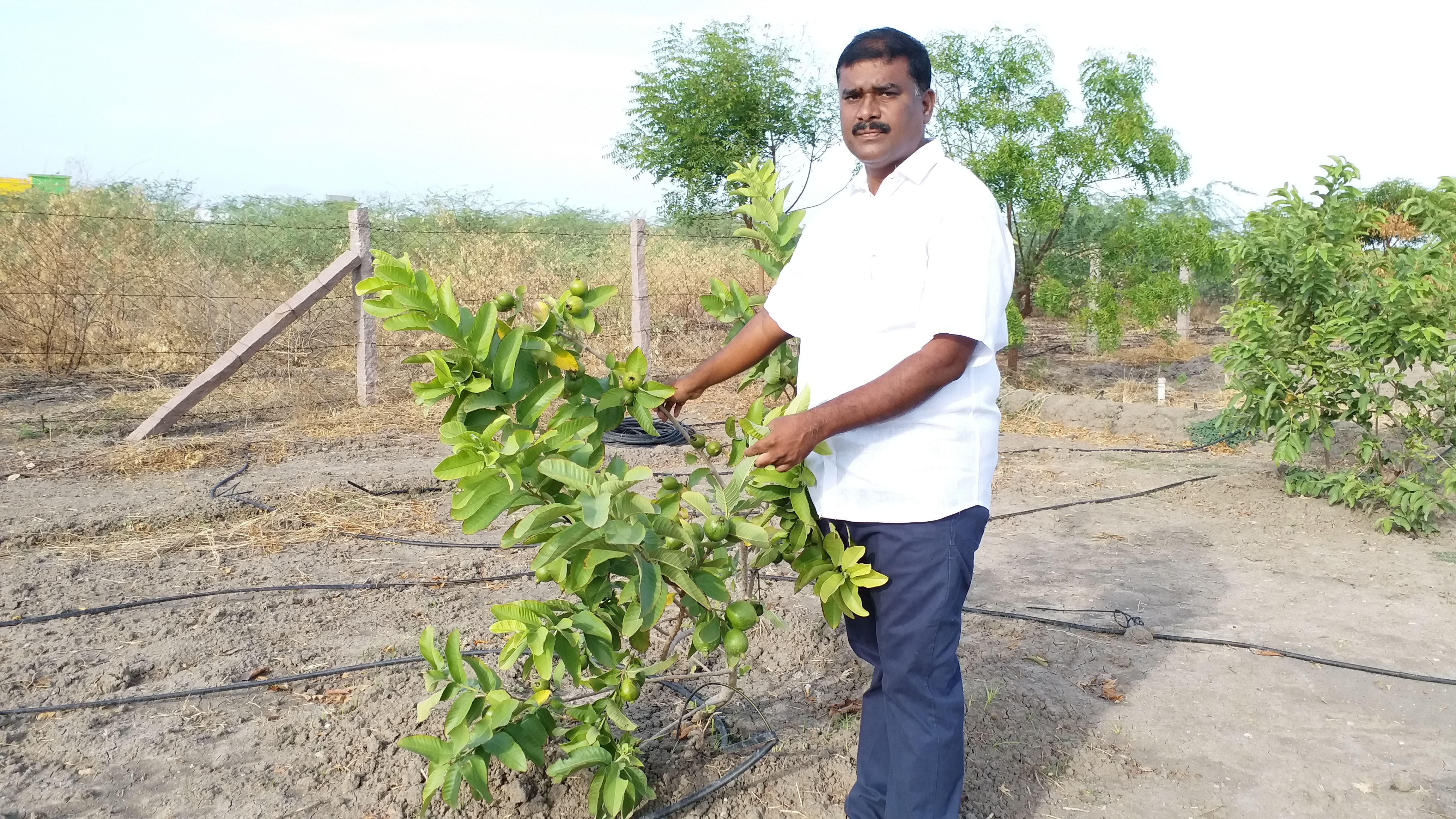 Ex MLA markandeyan self reliance agriculture