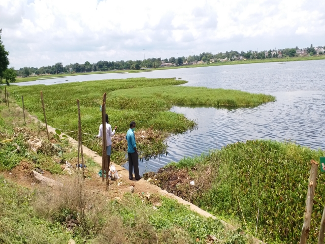 Plantation in Dalpat Sagar