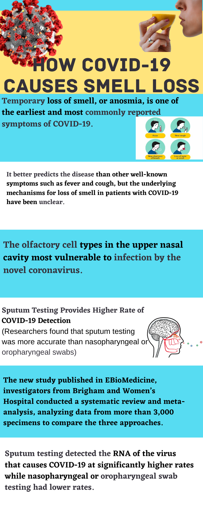 COVID-19 causes loss of smell