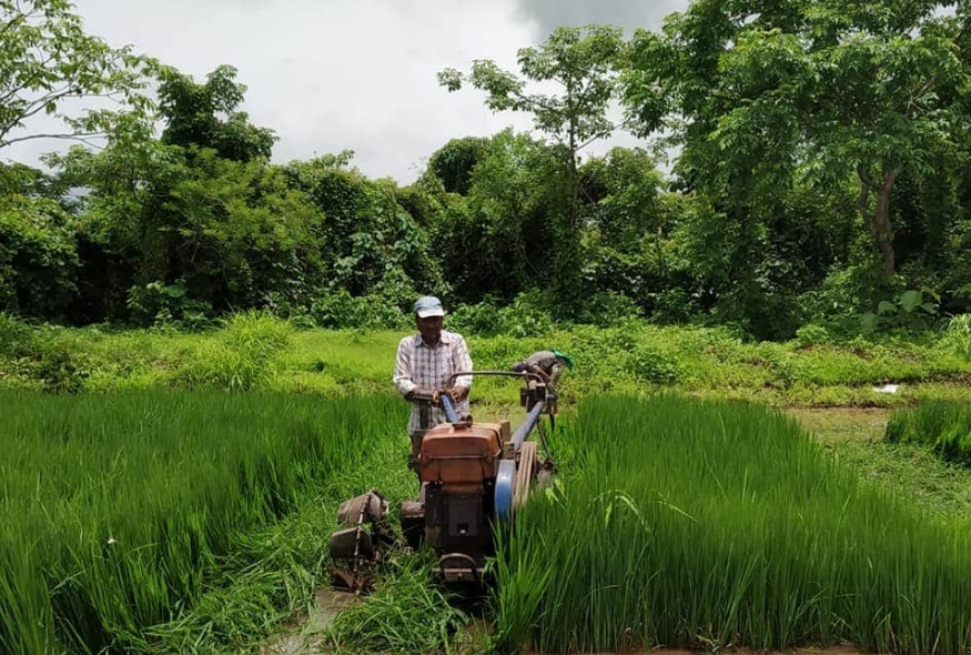 raigad farming news