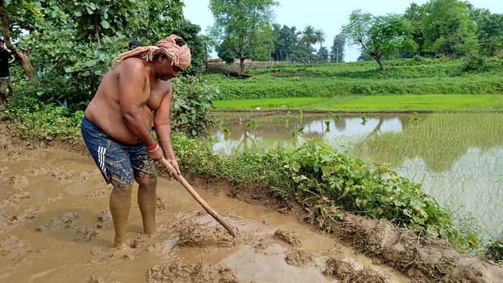 Labor minister Satyanand Bhokta ploughed in the field