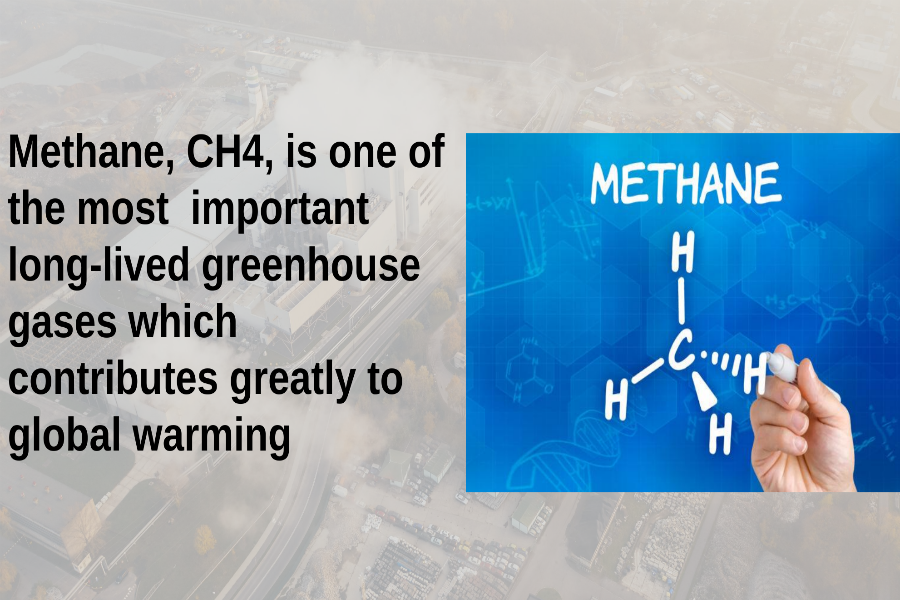 Researchers at Linköping University’s Department of Thematic Studies, Environmental Change.,methane logge