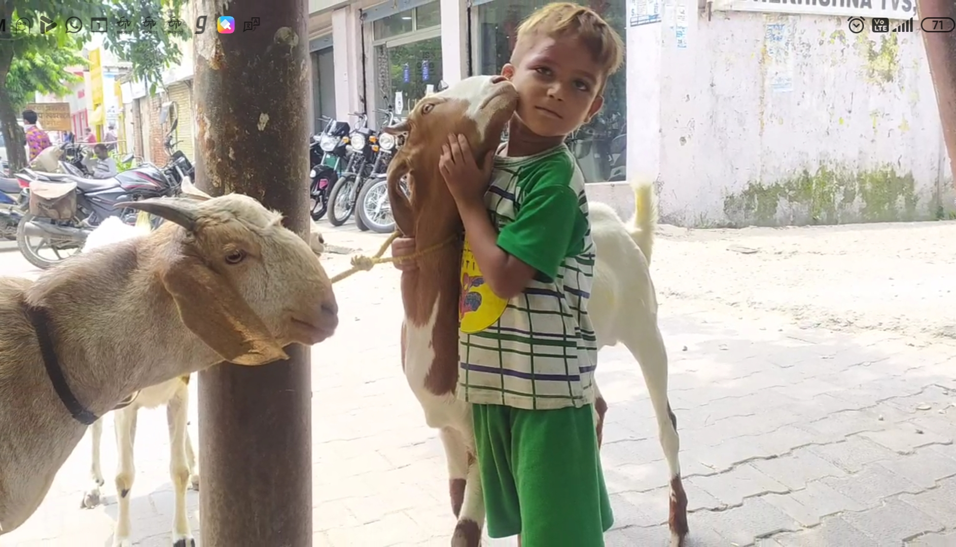 on the occasion of eid al adha, decline in buying and selling of animals in muzaffarnagar uttar pradesh