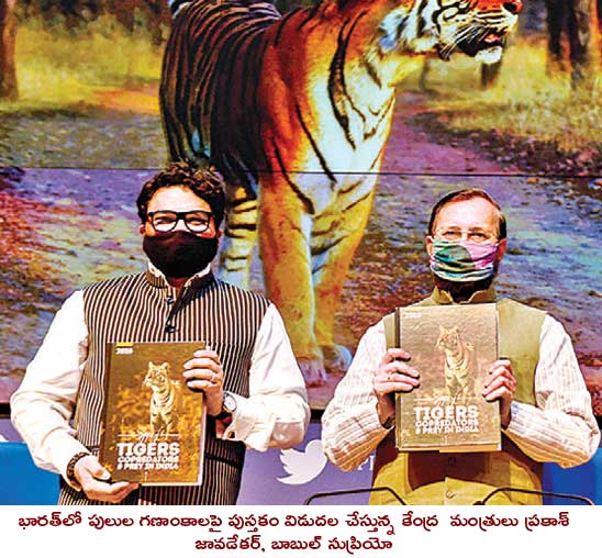 Tigers disappear at three tiger sanctuaries: report by central government