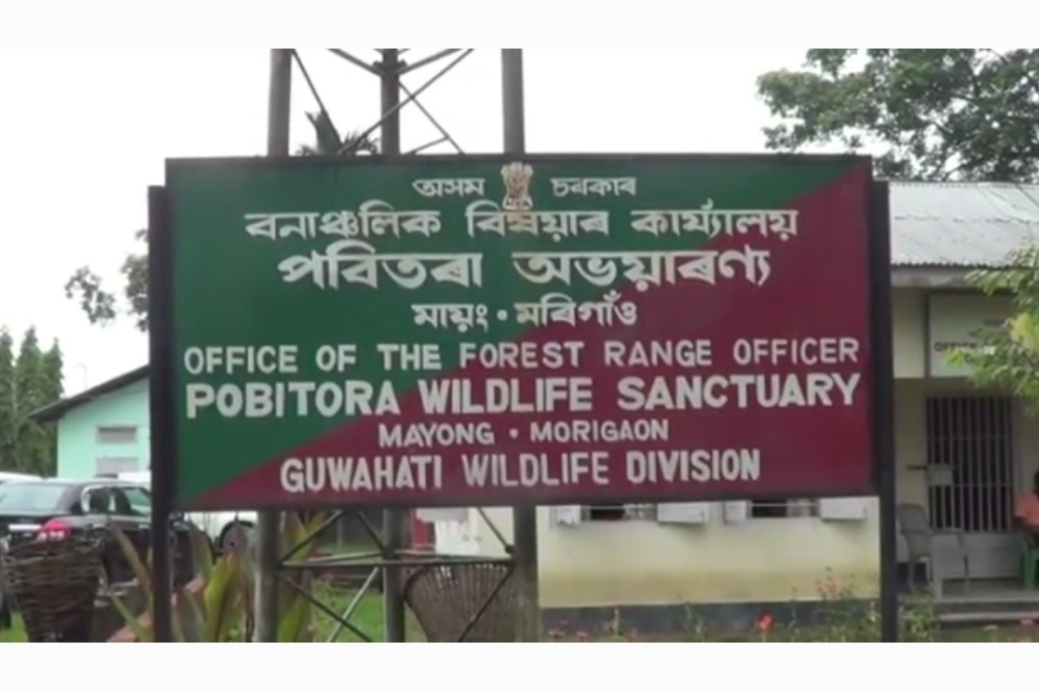 morigaon-poacher-arrested-by-police