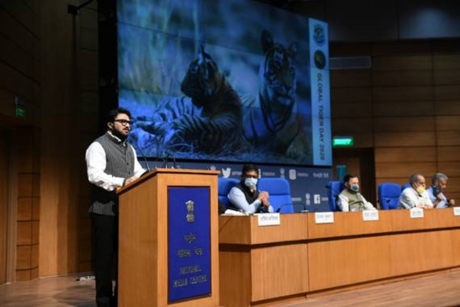 global tiger day ,report of Tiger Census