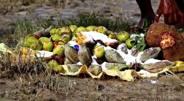 FLOOD HIT PEOPLE OF ASSAM SUPPLIES FOOD TO HUNGRY ELEPHANT AT MAJULI ETV BHARAT NEWS