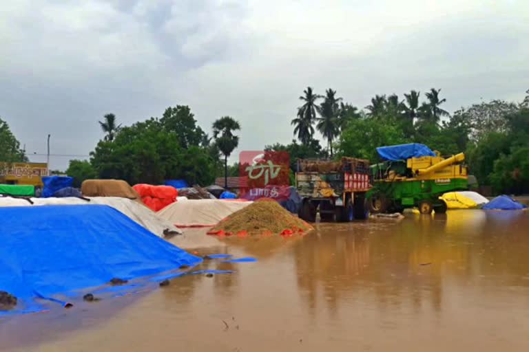 இழுத்தடிக்கப்படும் கொள்முதலால் மழையில் நனைந்து நாசமாகிய நெல் மூட்டைகள்