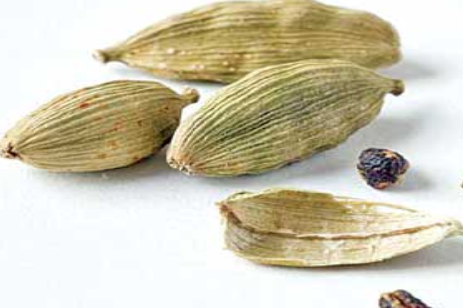health benefits of biryani spices or biryani masala