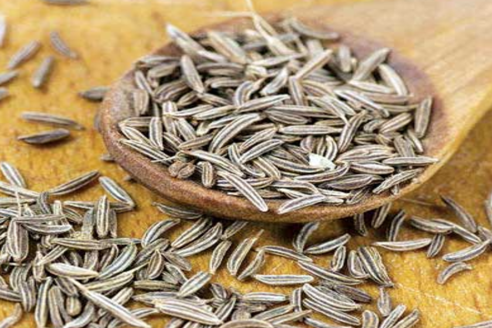 health benefits of biryani spices or biryani masala