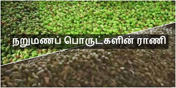 நறுமணப் பொருட்களின் ராணி