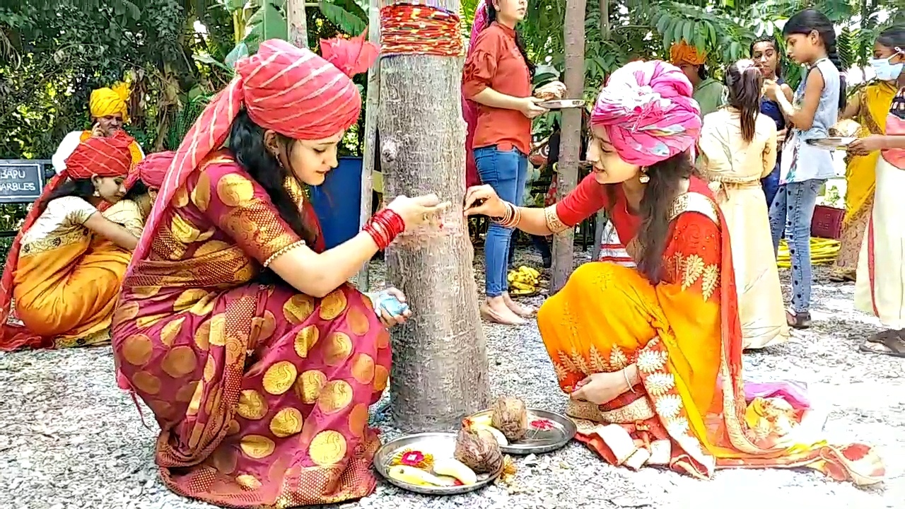 Rakhi is tied to trees in the Pipalantri, Rakshabandhan Special News