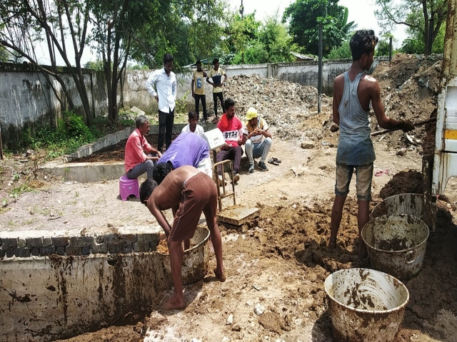 wood sticks from cow dung