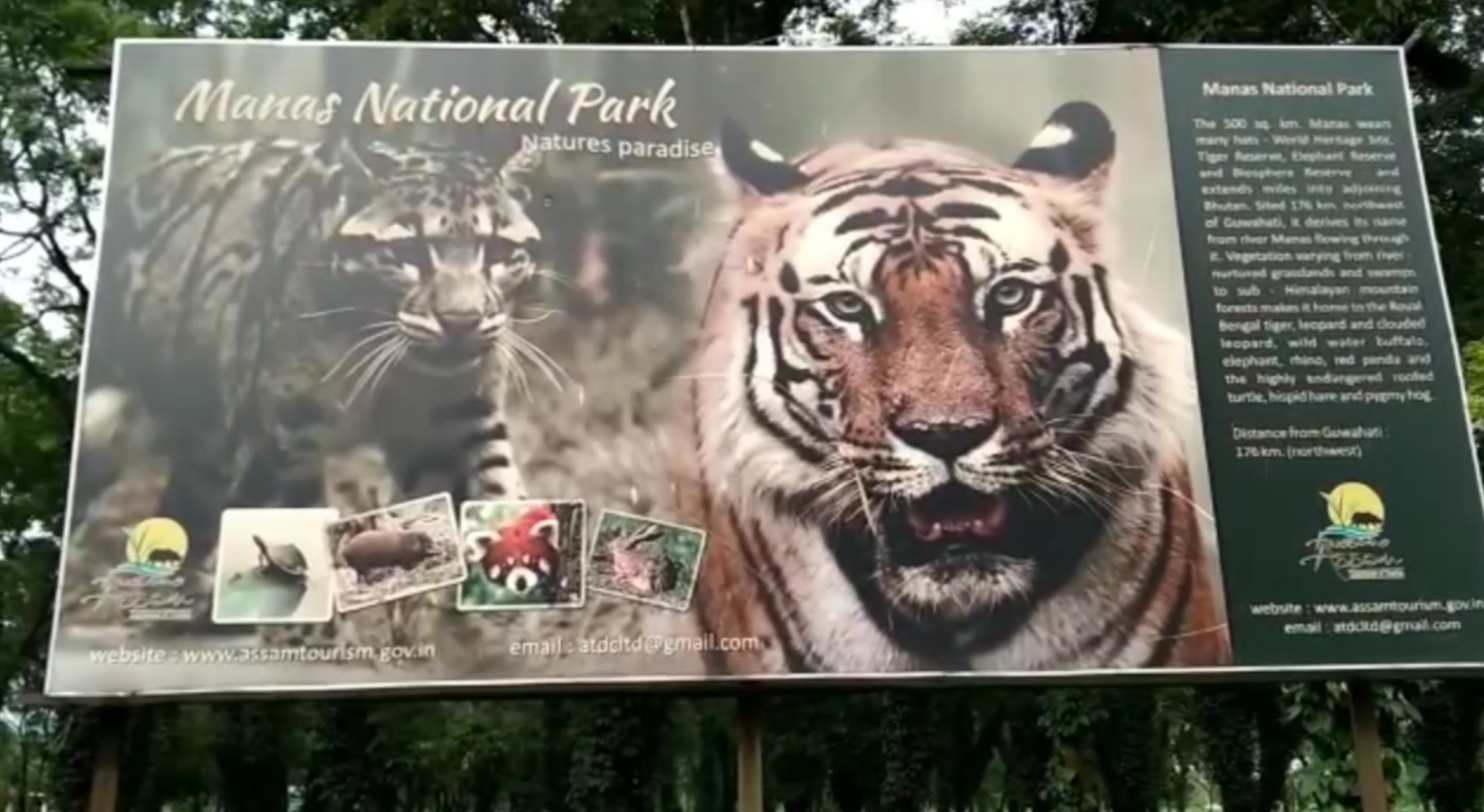 Manas national park is in loss due to Lock down