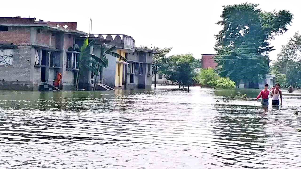 Chandparna village of gopalganj