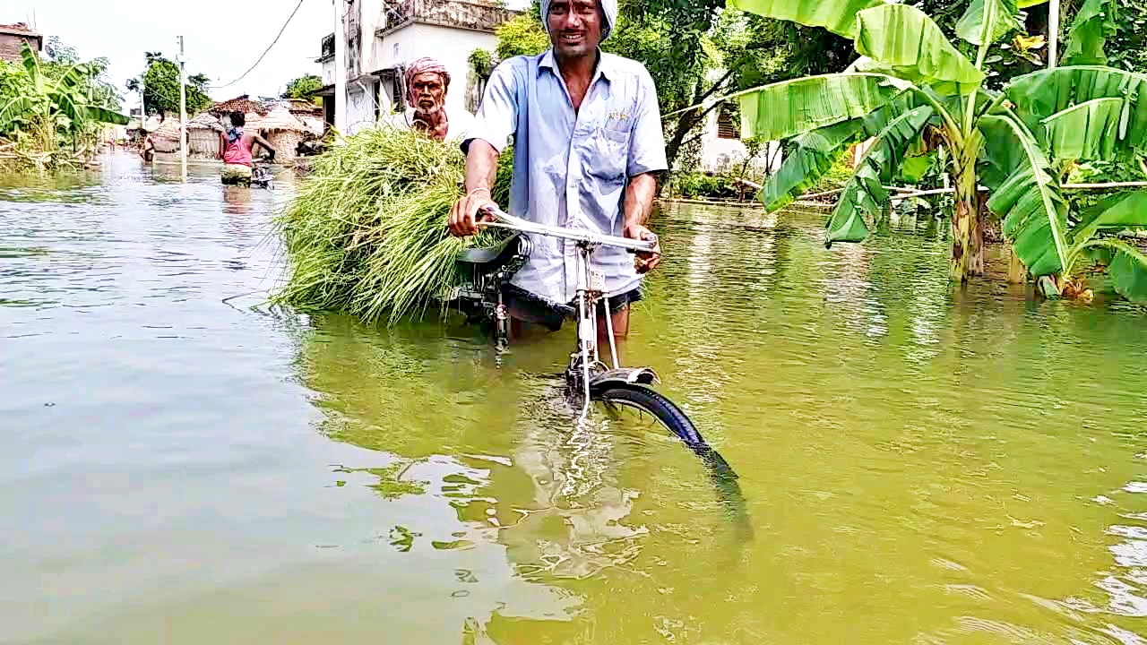 Chandparna village of gopalganj