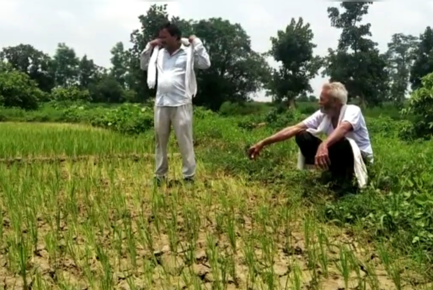 Farmers waiting for rain in balaghat