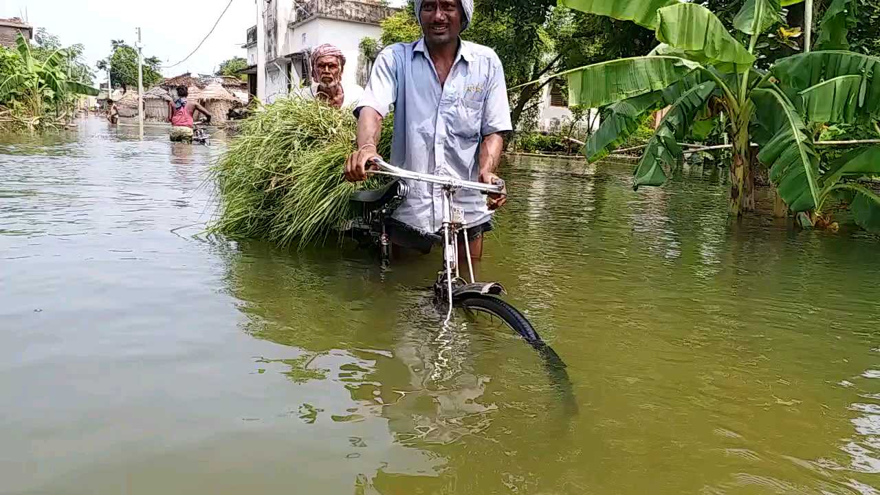 मजबूरी है साहब