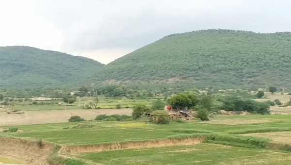 बूंदी का रामगढ़ अभ्यारण , Bundi's Ramgarh Sanctuary