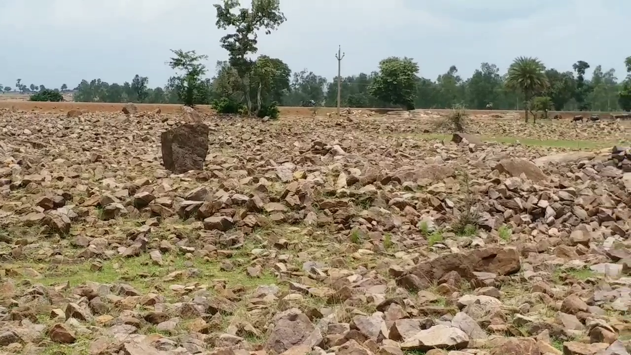 Megaliths chhattisgarh balod