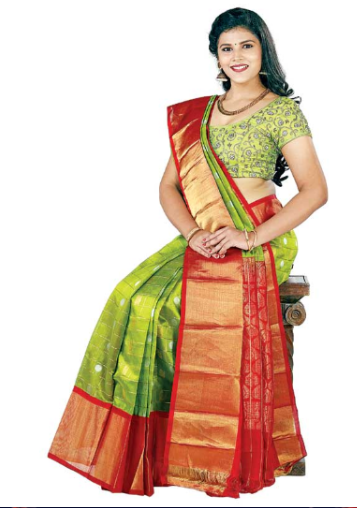 fasion of sarees during sravana masam