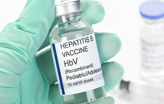 hepatitis b